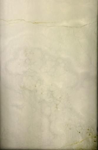 國際石材展:玉石作為“更高端的建材”走進裝修市場